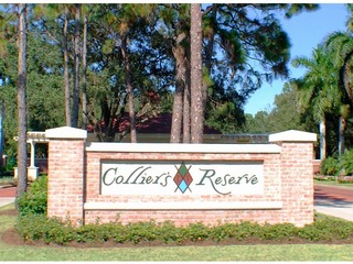 Colliers Reserve