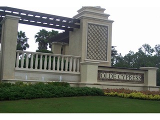 Olde Cypress